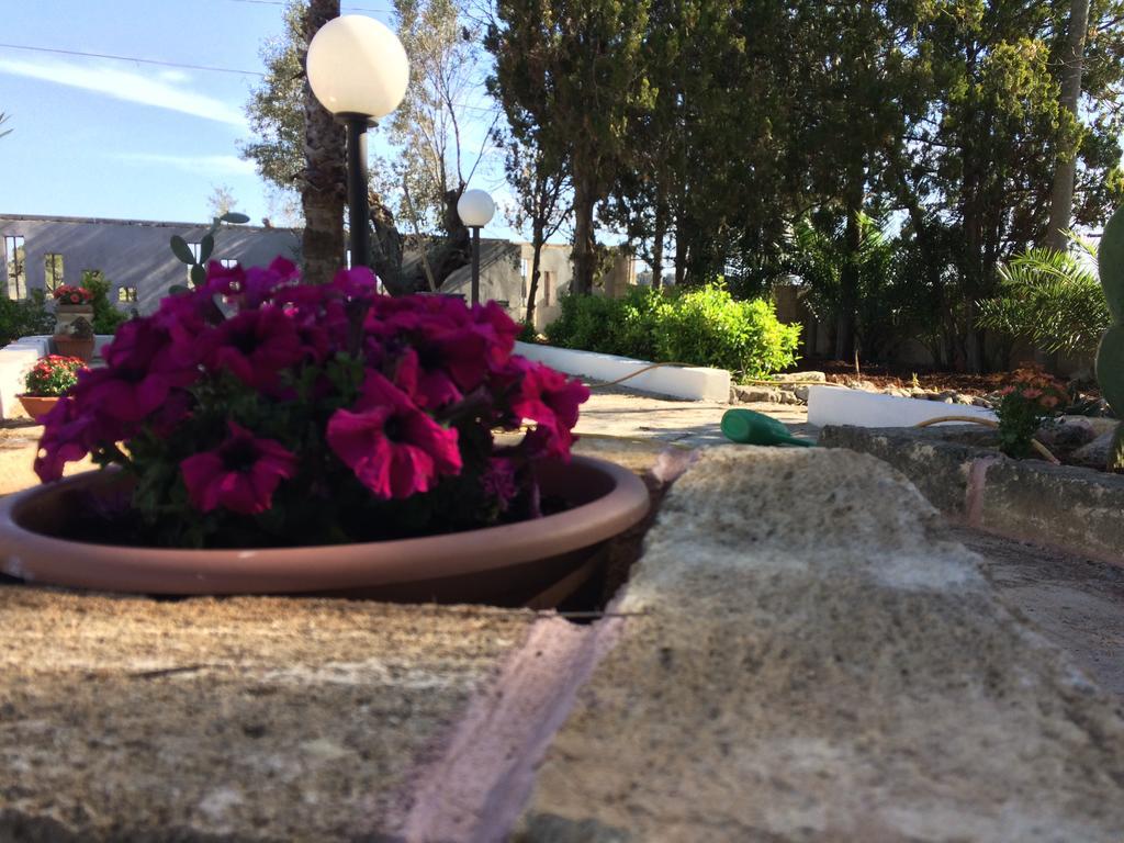 B&B Masseria Nova Torre San Giovanni Extérieur photo